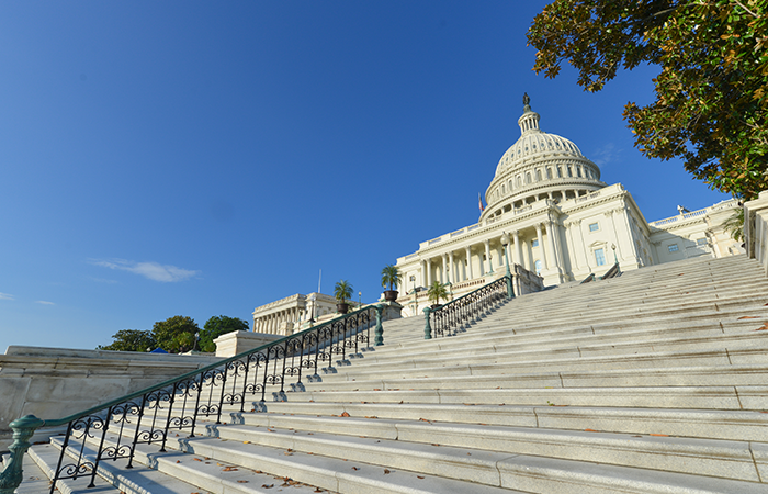 The capitol steps